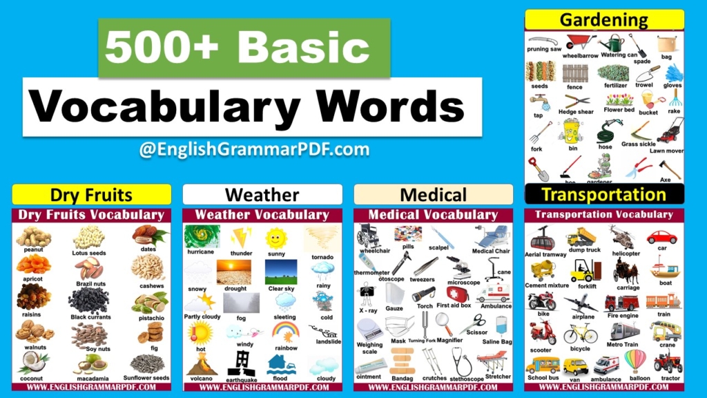 vocabulary words with pictures