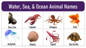 water animal names