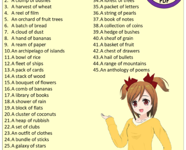 45 Collective Noun for Things