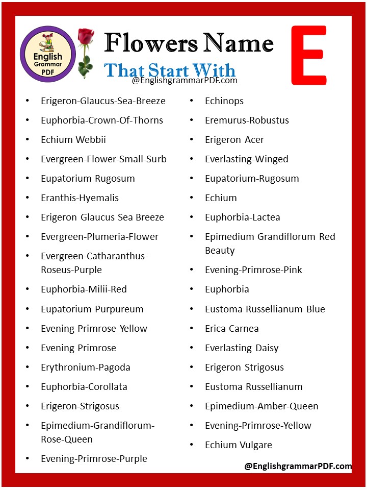 flowers starting with e