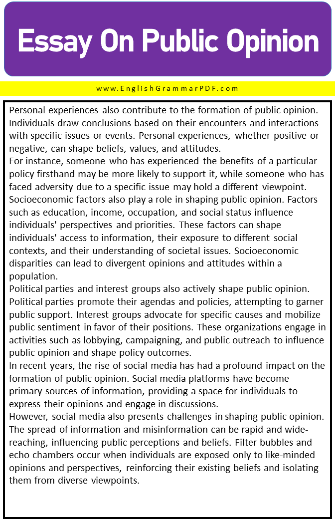 essay on public opinion 2